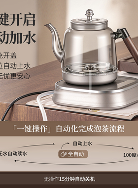 红天下自动上水保温纯钛电热水壶