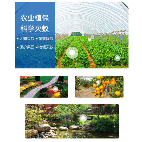 达豪红火蚁红蚂蚁杀蚂蚁药粉家用花园野地清除红蚁消灭剂粉状 - 图1