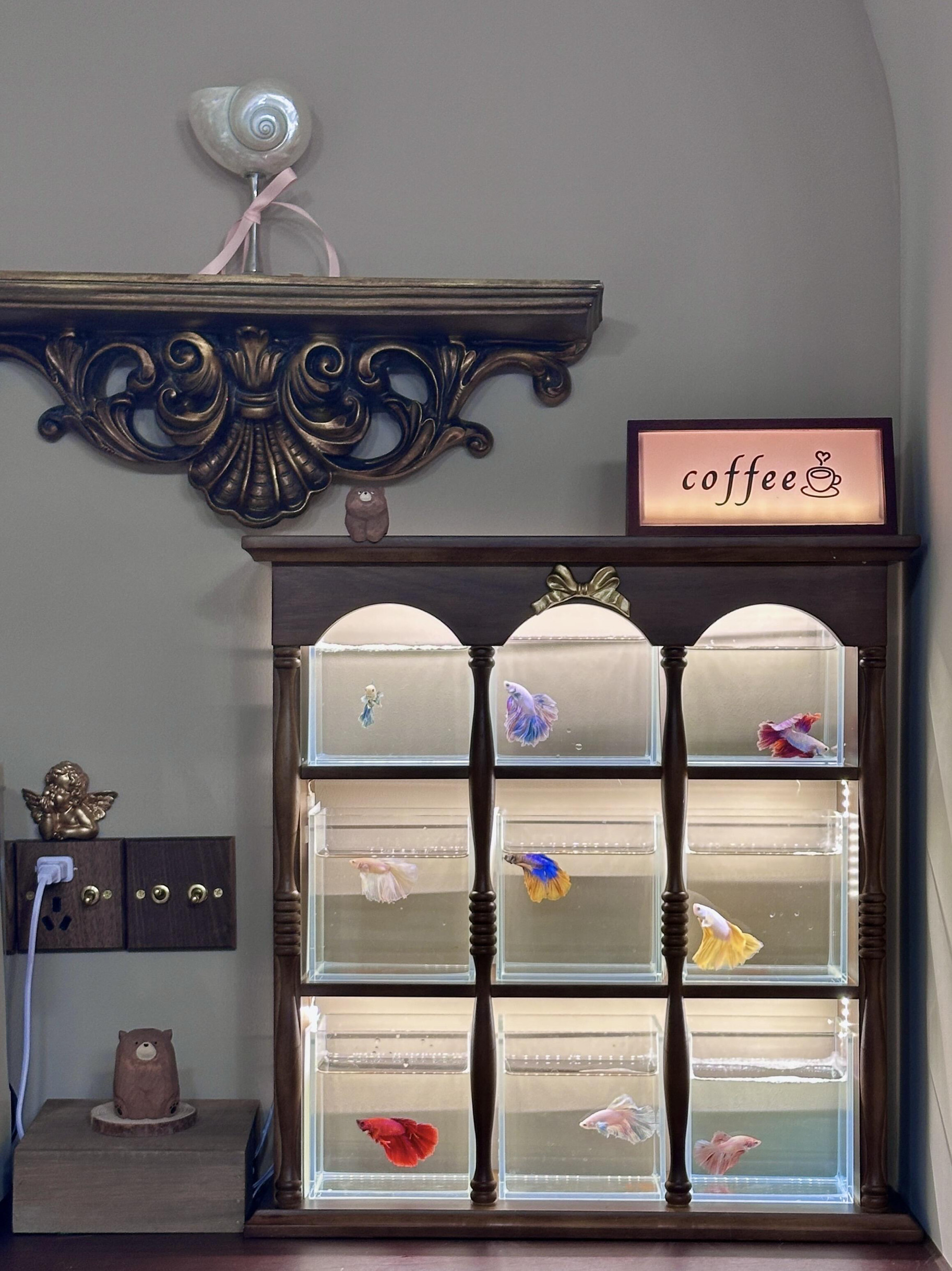 鱼缸造景生态缸小型桌面缸造景缸水族箱造景缸水族箱造景缸水族箱,淘宝优惠券,粉丝福利购,淘宝优惠卷