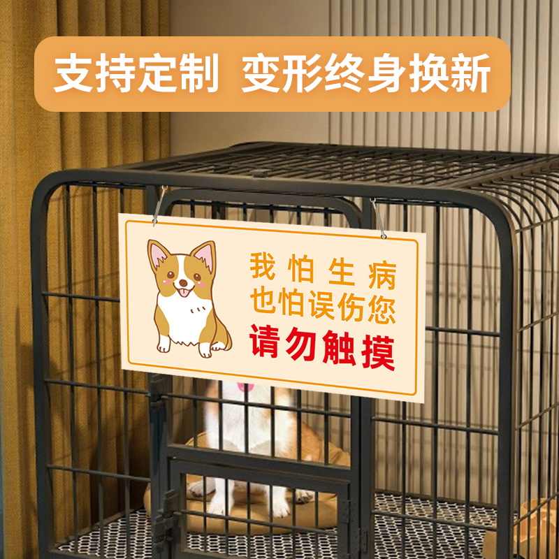 狗禁止 新人首单立减十元 22年3月 淘宝海外