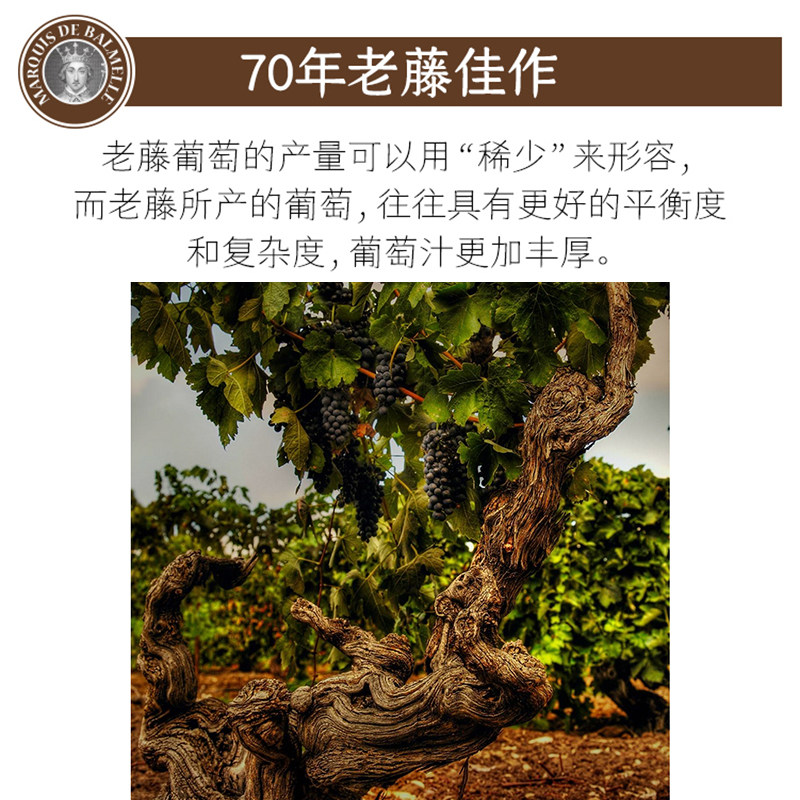 澳大利亚原瓶原装进口红酒15.5度澳洲西拉干红葡萄酒750ml单支装,淘宝优惠券,粉丝福利购,淘宝优惠卷