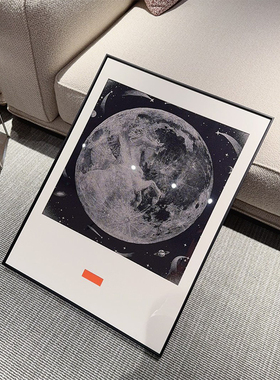 轻奢飞马白月光丝巾装饰画