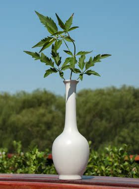 新中式风花瓶玄关书房创意陶瓷