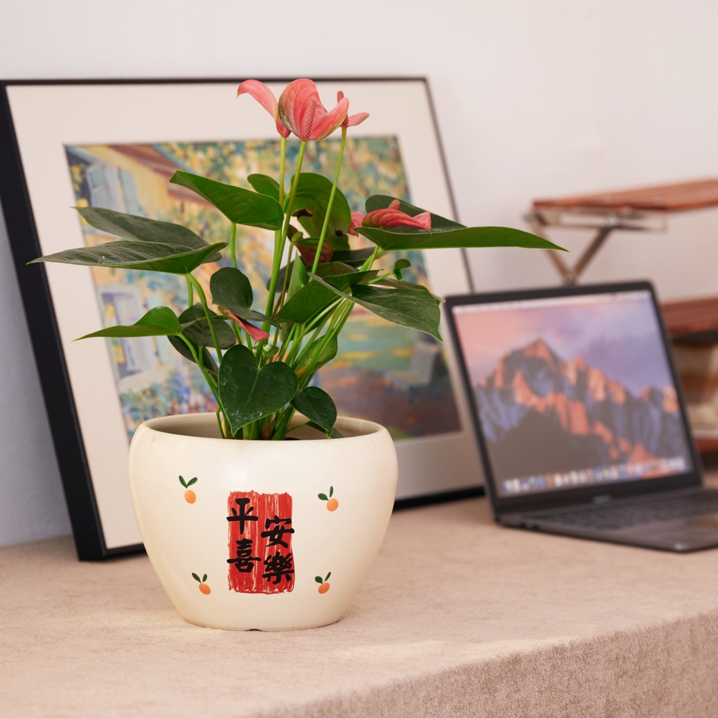 花盆陶瓷简约创意新款喜庆节日客厅桌面蝴蝶兰发财树盆栽送托盘,淘宝优惠券,粉丝福利购,淘宝优惠卷