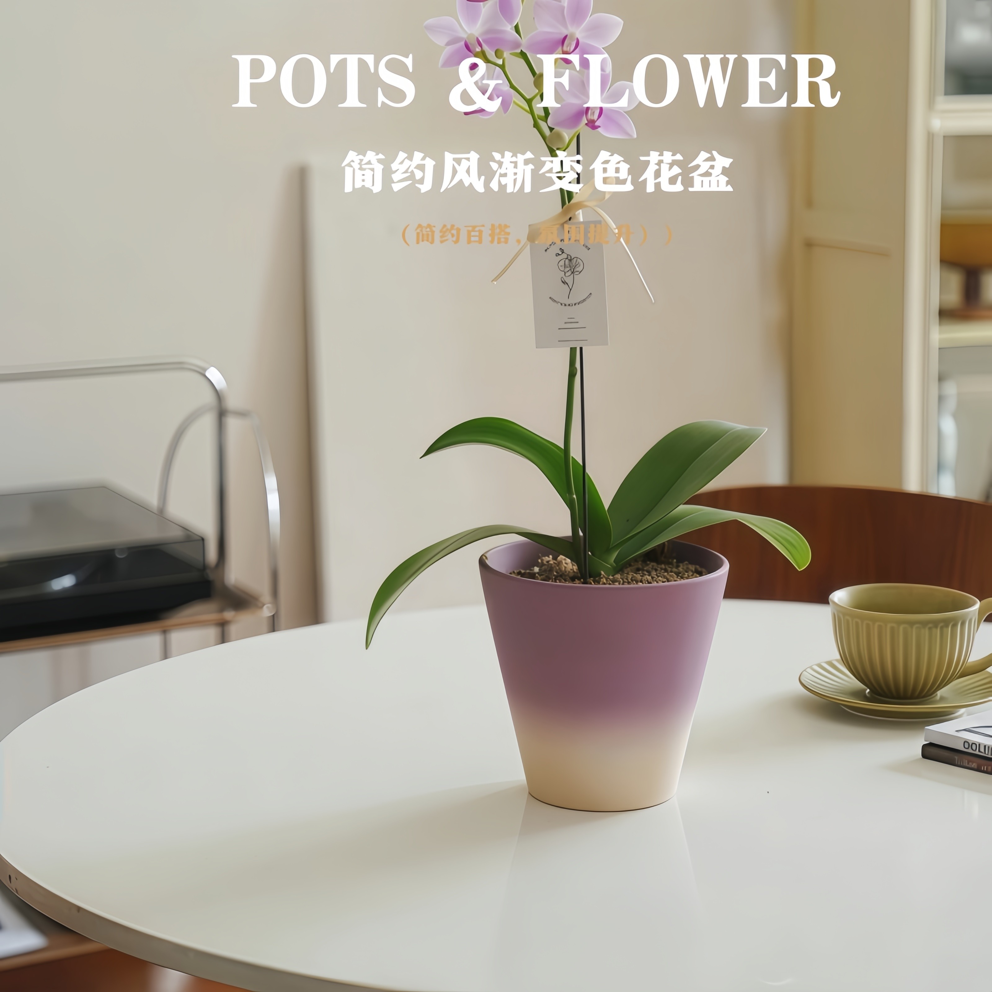 简约花盆渐变色客厅桌面绿植陶土蝴蝶兰绿植盆栽透气大口径送托盘,淘宝优惠券,粉丝福利购,淘宝优惠卷