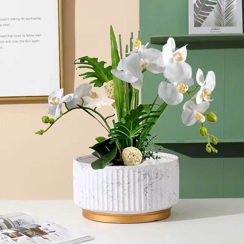 花盆陶瓷大口径简约轻奢桌面客厅阳台花卉蝴蝶兰君子兰特价送托盘,淘宝优惠券,粉丝福利购,淘宝优惠卷
