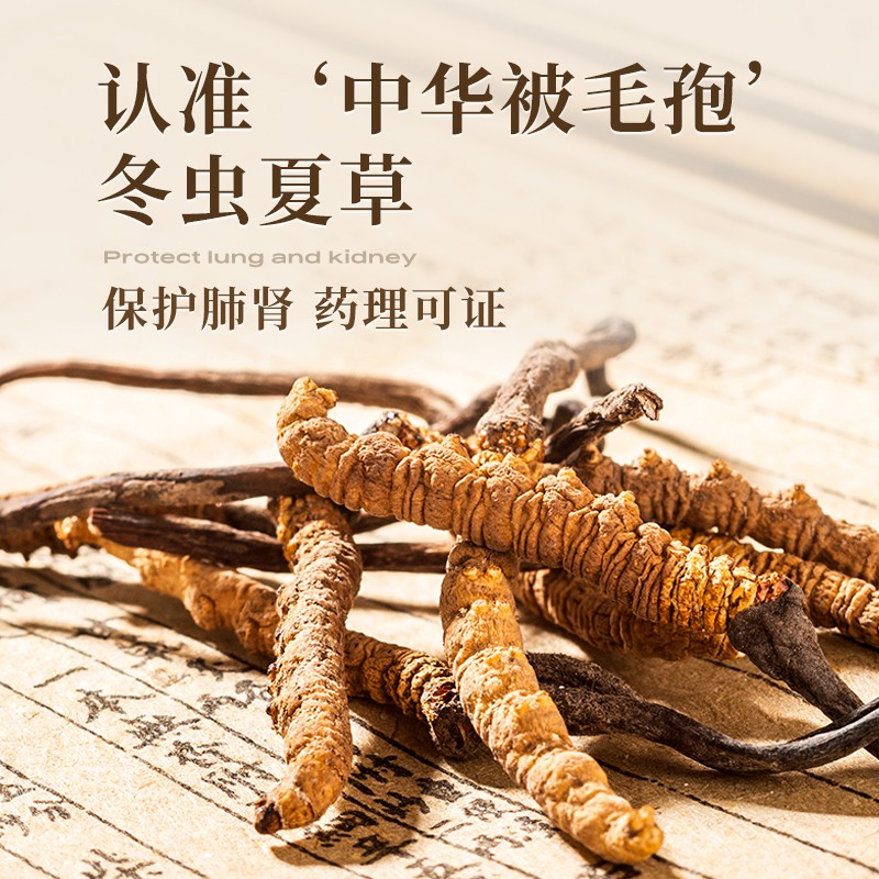 90片】圣傲百令片补肺 益肾 益精气冬虫夏草菌粉腰背酸痛咳嗽慢支