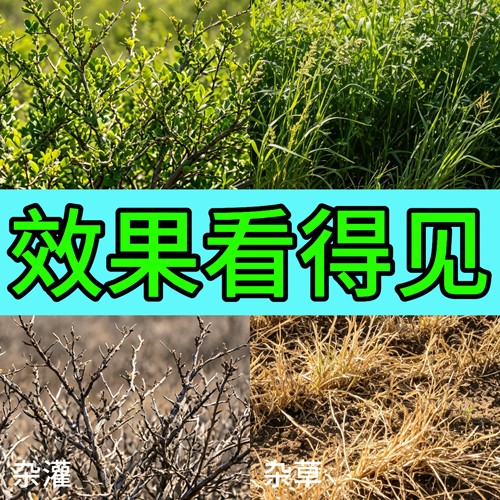环嗪哃酮除草烂根水剂除大杂灌木强力环嗪铜水剂乔木杂草正品农药 - 图0