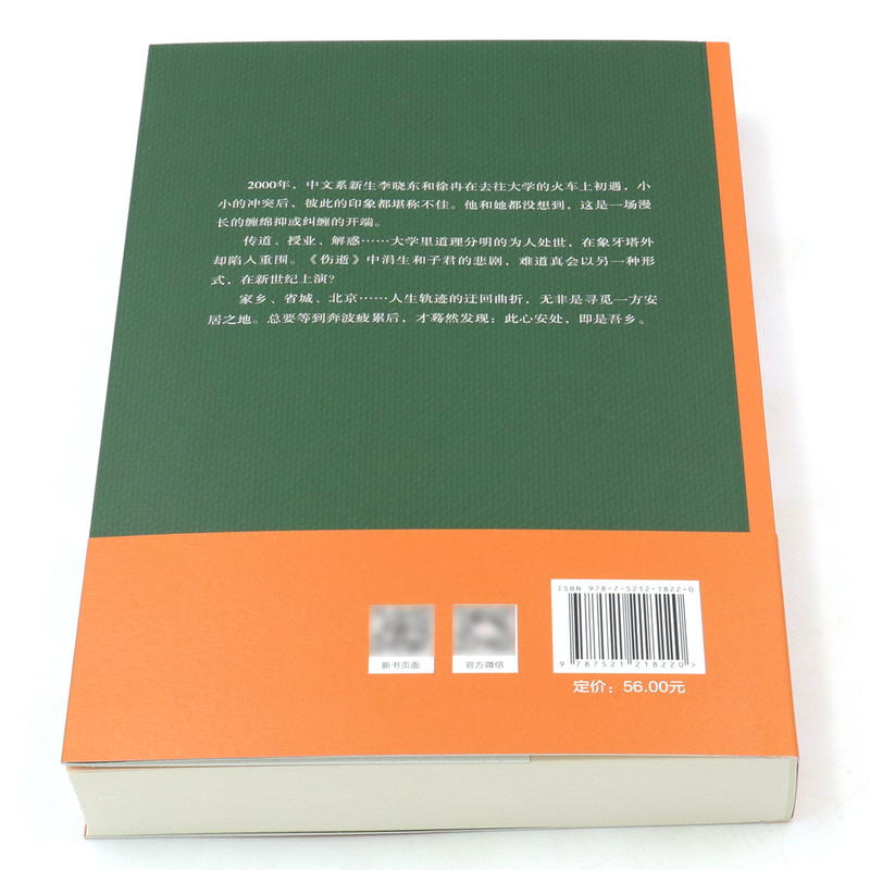 中文桃李 人世间作者梁晓声长篇新作 茅盾文学奖得主 聚焦时代 迭之际青年人的彷徨与坚守 知青文学 作家出版社 - 图3