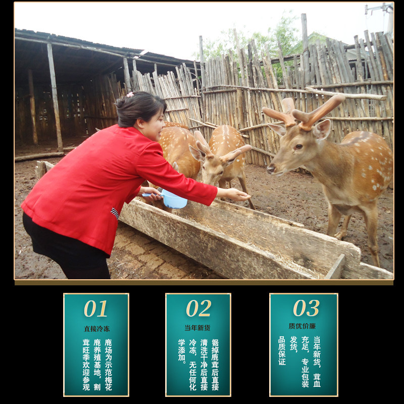 吉林梅花250克整根发货鲜鹿茸 吉猫鹿茸枝