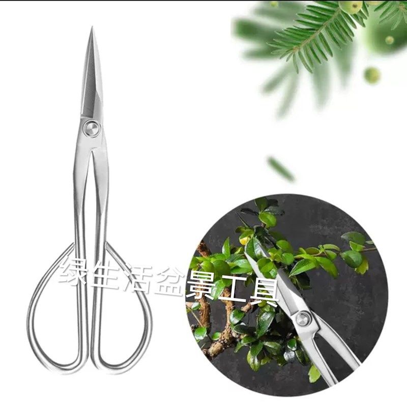 盆景修剪专用工具叶芽剪球节剪大号球形剪不锈钢园艺剪刀工具套装,淘宝优惠券,粉丝福利购,淘宝优惠卷
