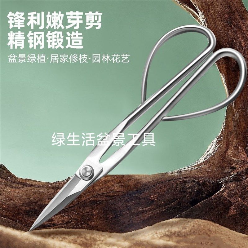 盆景修剪专用工具叶芽剪球节剪大号球形剪不锈钢园艺剪刀工具套装,淘宝优惠券,粉丝福利购,淘宝优惠卷