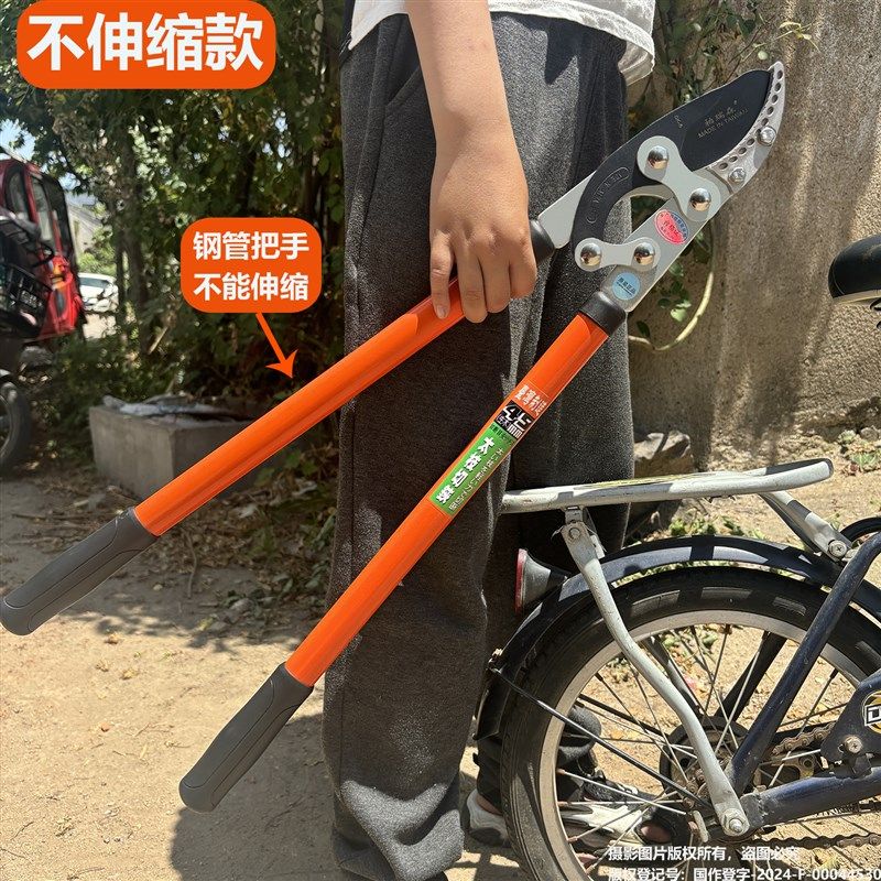 修剪树枝剪园艺粗枝果树园林大力竹子专用电花树枝伸缩动剪刀钳子,淘宝优惠券,粉丝福利购,淘宝优惠卷