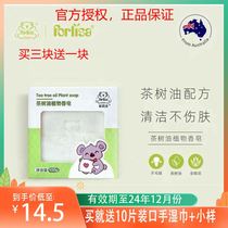 Filijie Tea Tree Oil Plant Soap 100g Baby soap Childrens soap Soap Finish Bath Laundry