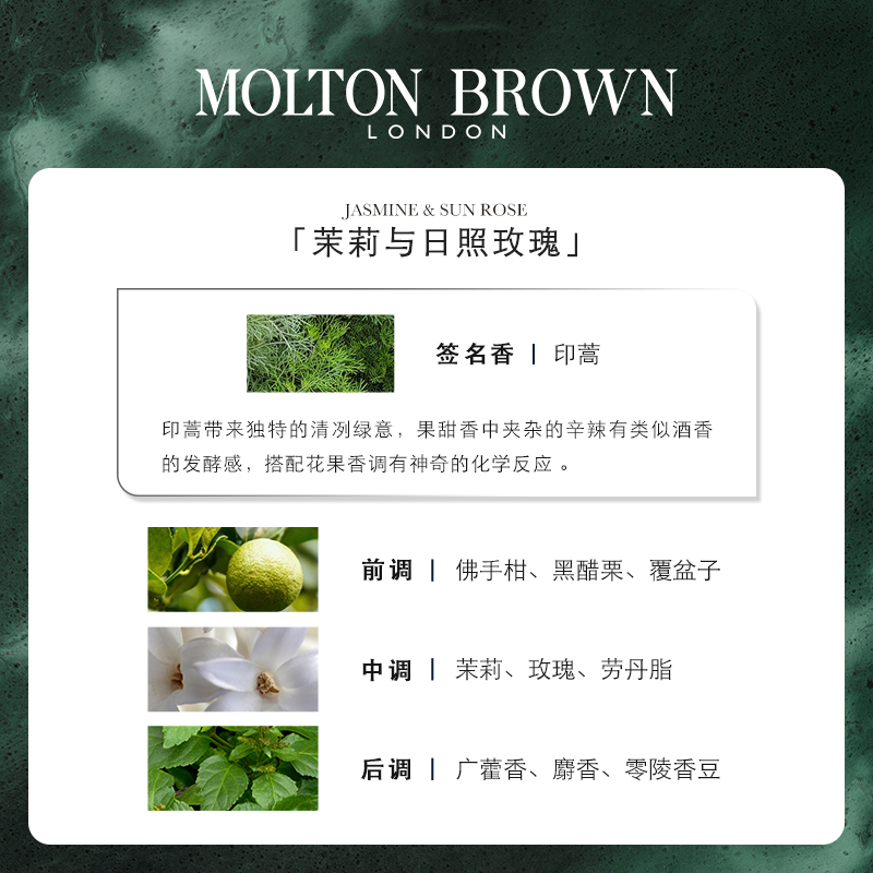 【618狂欢价】Molton Brown摩顿布朗 茉莉与日照玫瑰浓香水100ml - 图1