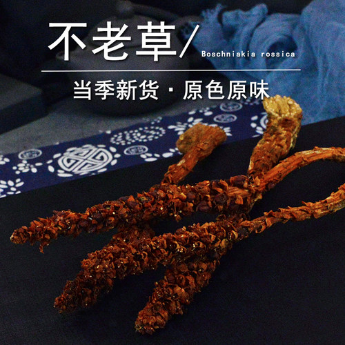 不老草中药材小药仙正品种植非野生长白山不老草粉草苁蓉干独根草 - 图2