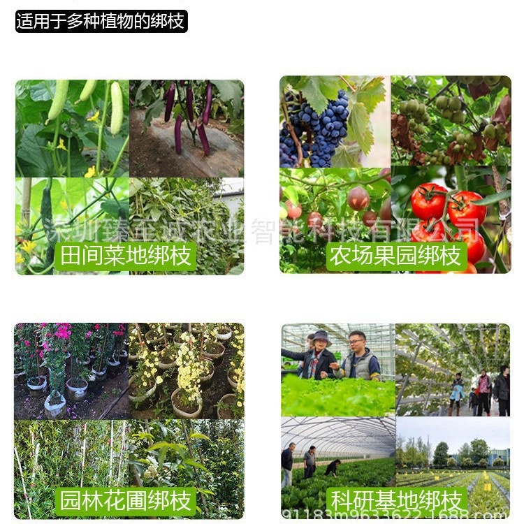 工厂直发新款绑枝机绑蔓器绑枝葡萄绑枝机黄瓜果树番茄绑枝机 - 图0