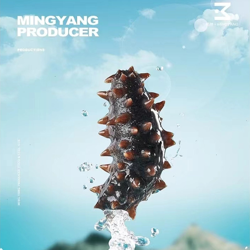 即食海参大连海域辽参海生刺顺丰包邮参鲜活孕妇臻品礼盒装,淘宝优惠券,粉丝福利购,淘宝优惠卷