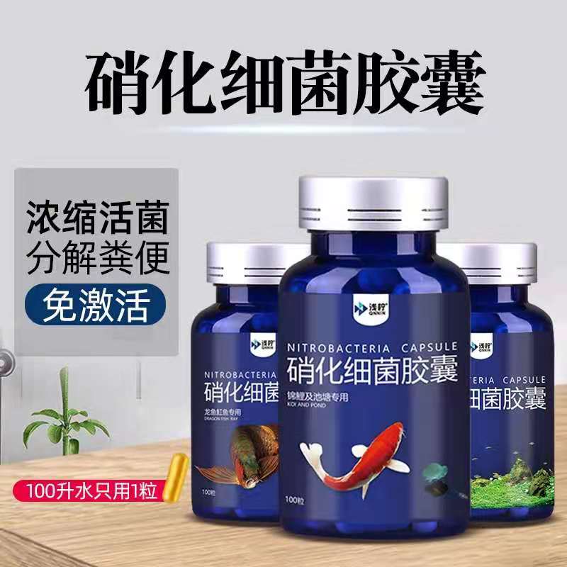 龙鱼硝化细菌胶囊鱼缸用虾缸草缸淡水族箱消化细菌干粉硝化菌净水 - 图0