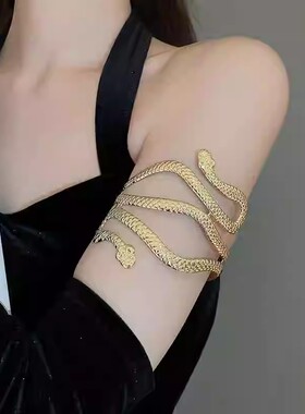 欧美金属冷淡风环绕双头蛇手镯高级感个性百搭手环2026轻奢臂环女