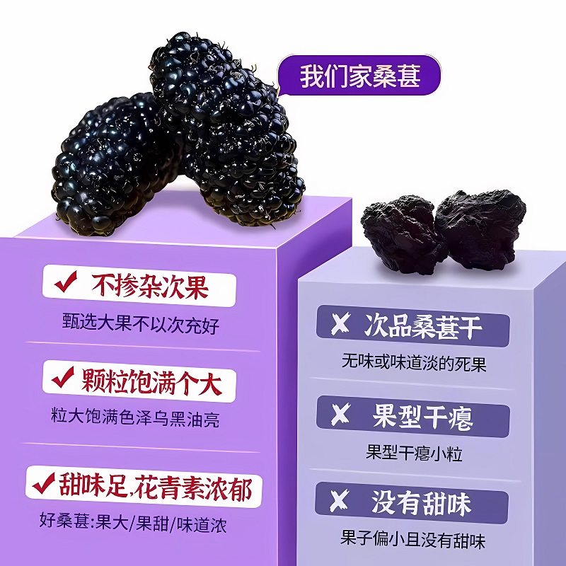 特级新疆桑葚干黑桑椹免洗新货泡茶泡水喝中药材正品官方旗舰店zz,淘宝优惠券,粉丝福利购,淘宝优惠卷