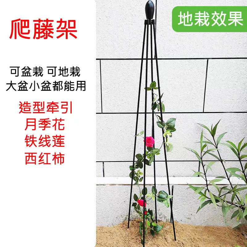 铁线莲四角花塔型支架子花架爬藤架户外阳台园艺风车茉莉月季支撑-图2