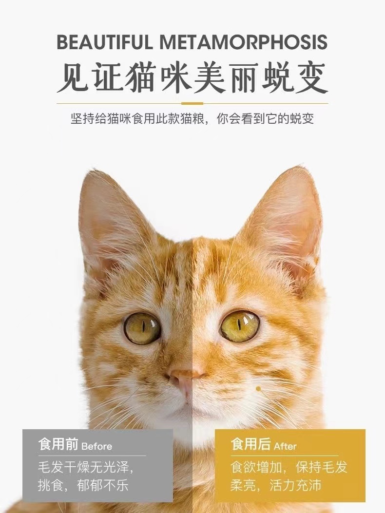 派派猫粮10kg成猫营养增肥天然粮橘猫幼猫深海鱼流浪猫猫粮20斤装 - 图3