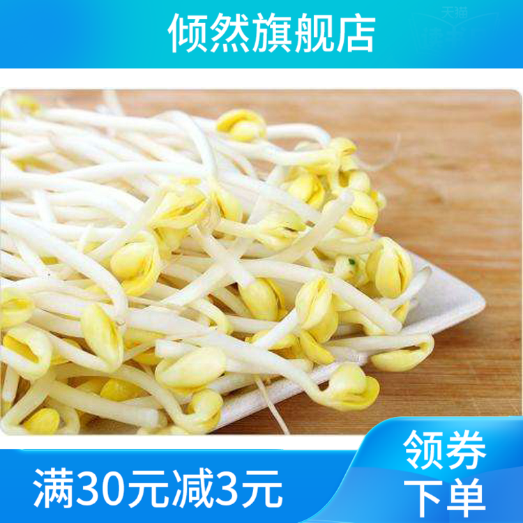 新款5斤新小黄豆发豆芽发芽豆子 倾然黄豆