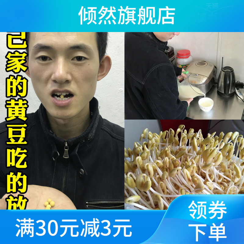 新款新东北土黄豆10斤黑龙江榨大豆 倾然黄豆