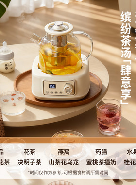 堆吉高硼硅玻璃养生壶家用多功能办公室小型恒温煮茶壶纯电烧保温