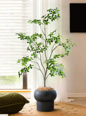仿真绿植假树栀子树仿生假植物盆栽摆件高端轻奢室内客厅装饰造景