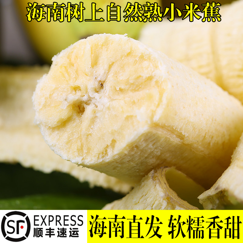 现摘海南小米蕉新鲜香蕉banana10斤整香芭蕉自然熟非苹果蕉皇帝蕉-图1