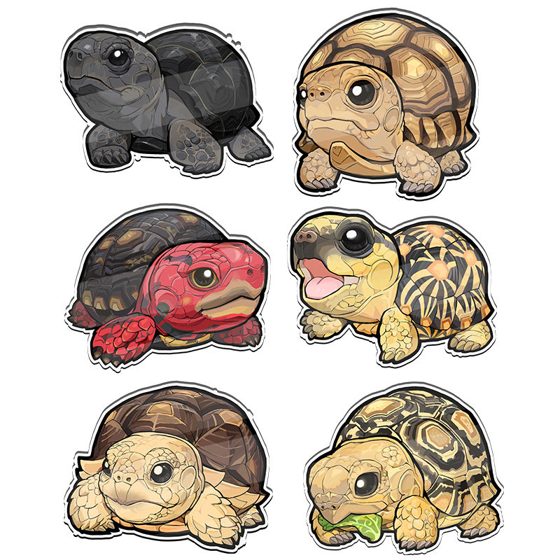 SuperRep动物星球心宽体胖类爬宠冰箱贴陆龟豹纹辐射亚达周边磁吸,淘宝优惠券,粉丝福利购,淘宝优惠卷