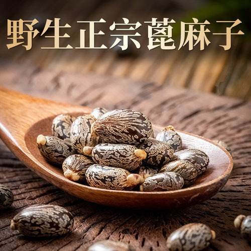 蓖麻子中药材500克 野生蓖麻籽种子油  新鲜 生蓖麻仁 无法打粉 - 图0