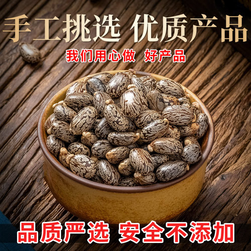 蓖麻子中药材500克 野生蓖麻籽种子油  新鲜 生蓖麻仁 无法打粉 - 图1