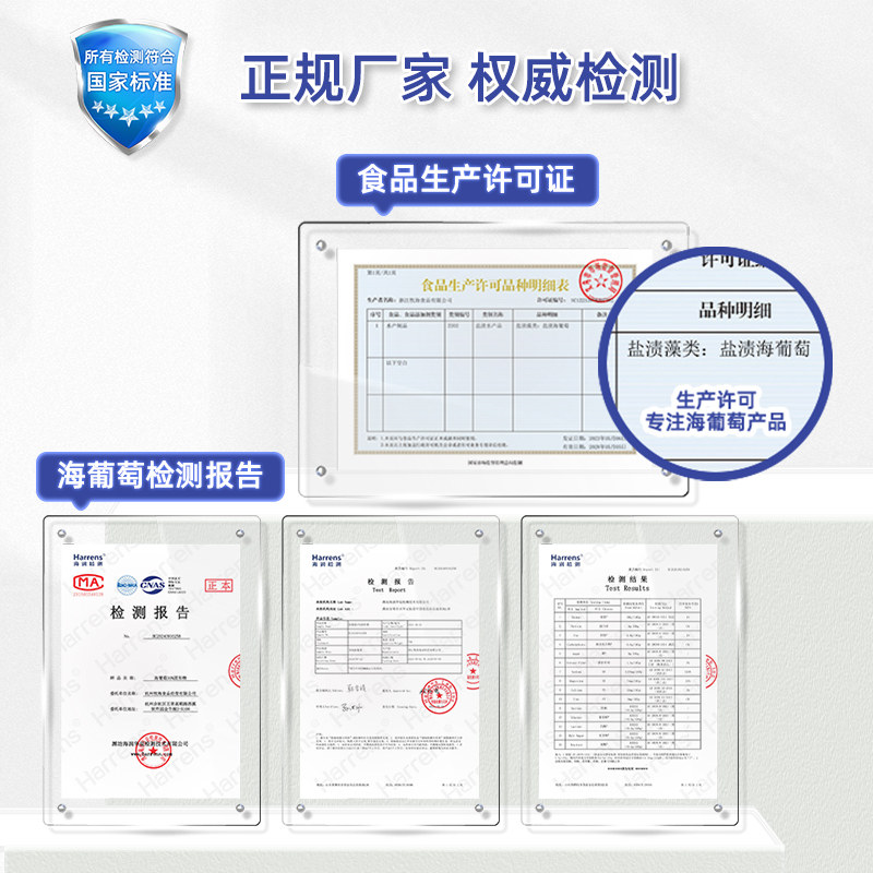 海葡萄三袋盒装300g爆珠吃播声控高泡发速食盐渍赠蘸料,淘宝优惠券,粉丝福利购,淘宝优惠卷