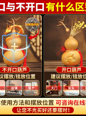 葫芦天然大号摆件门对门挂件特大开口带龙头天然葫芦客厅真木葫芦
