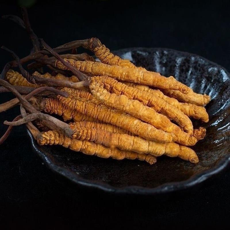 头期野生钻石级虫草煲汤青海玉树虫草正品饱满价非西藏那曲