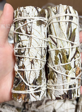优质北美圣草天然植物香