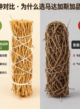 马达加斯加高阶岩兰草香