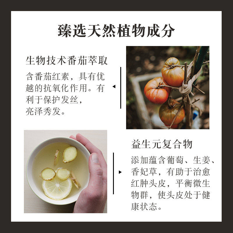 意大利sendo温和致密植物洗发水 热品库 性价比省钱购 意大利sendo温和致密植物洗发水 热品库 性价比省钱购