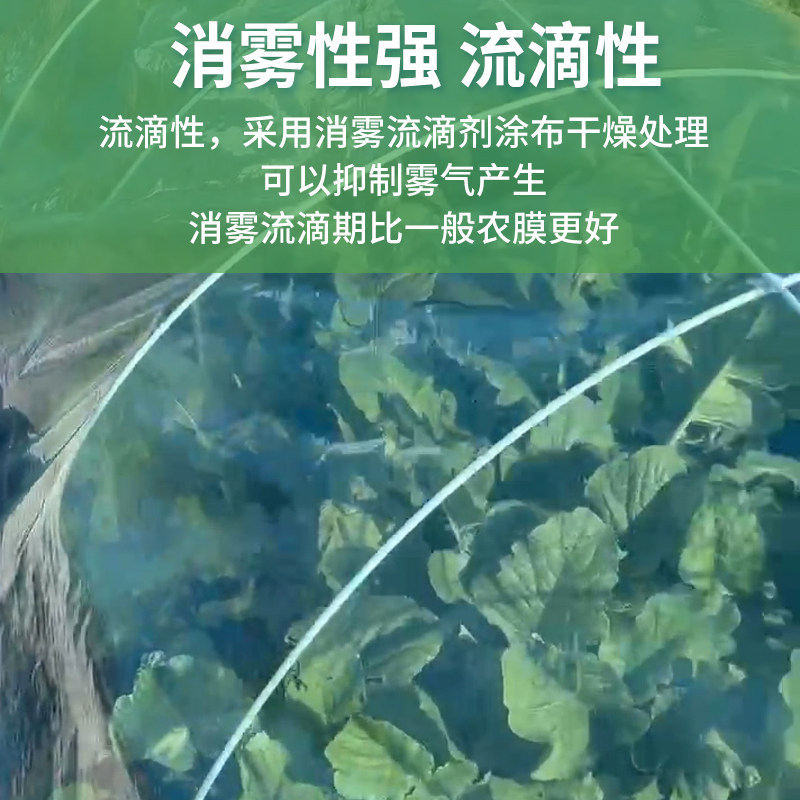 地膜种菜专用农用种植小拱棚专用膜保温膜防寒大棚塑料膜拱棚膜,淘宝优惠券,粉丝福利购,淘宝优惠卷