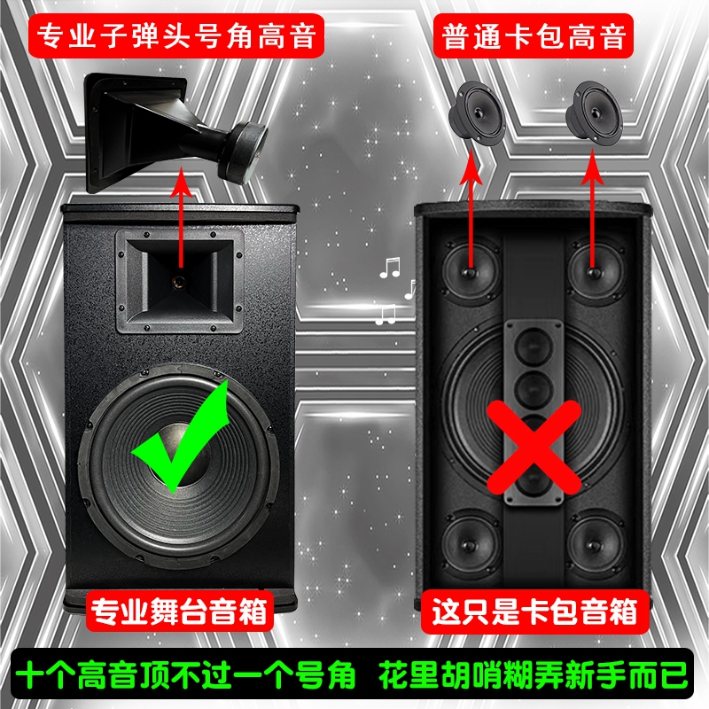 Woodrow Home KTV Audio Package