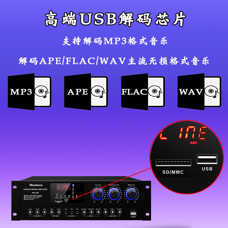 Woodrow Home KTV Audio Package