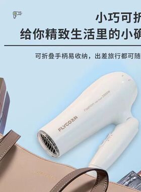 家用飞科电吹风官方旗舰店正品