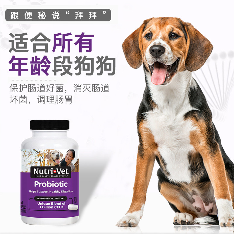nutrivet纽益仕犬用益生菌调理狗狗 nutrivet海外狗益生菌