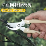 Обрезка фруктовых деревьев.