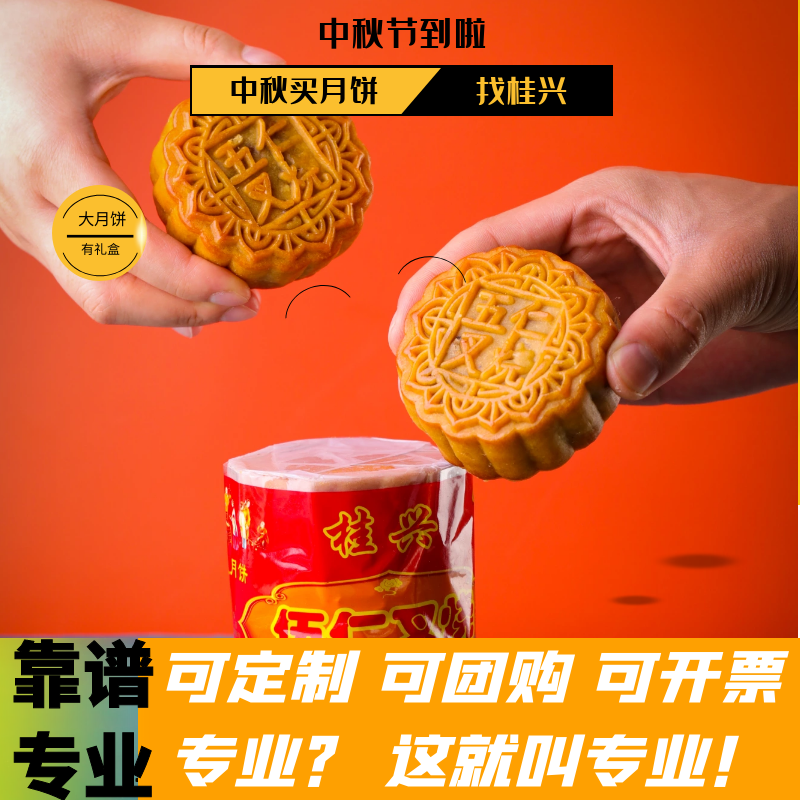 五仁月饼广式叉烧蛋黄白莲蓉哈密瓜多口味广西老式450g散装中秋月 - 图0