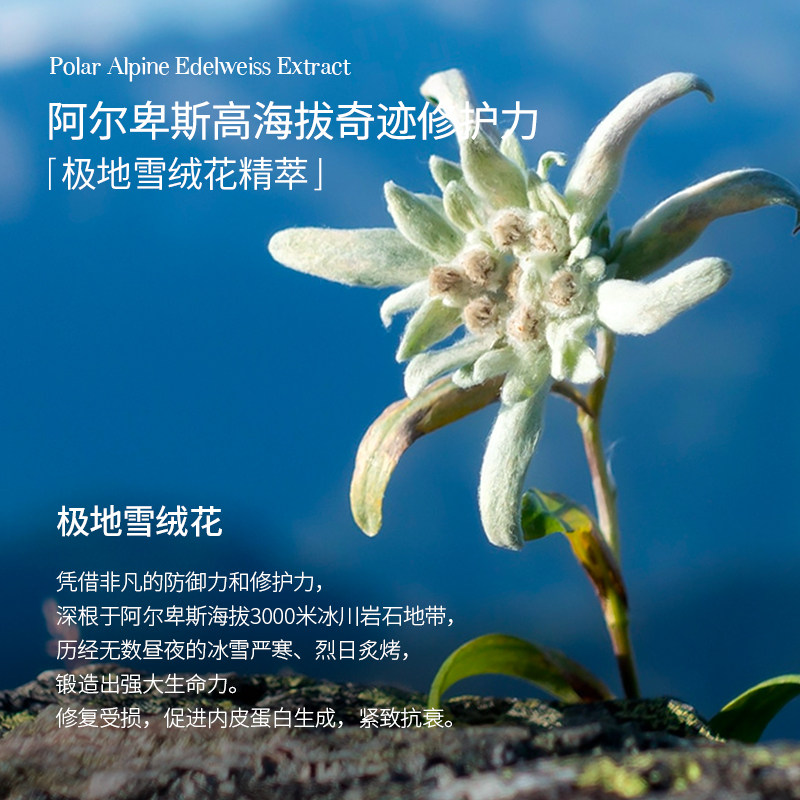 瑞士进口tal滋润保湿美白女护手霜 tal海外护手霜