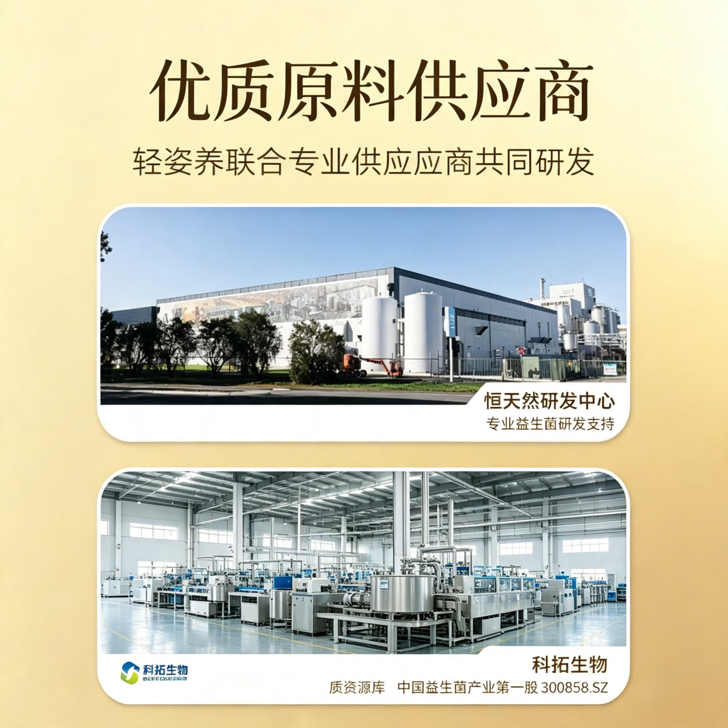 轻姿养即食益生菌600亿活性菌株进口原料菌株成人小金条固体饮料